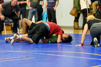 Wrestling DHS 011516-3-2915