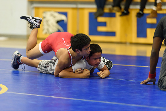 Wrestling DHS 011516-3-3587