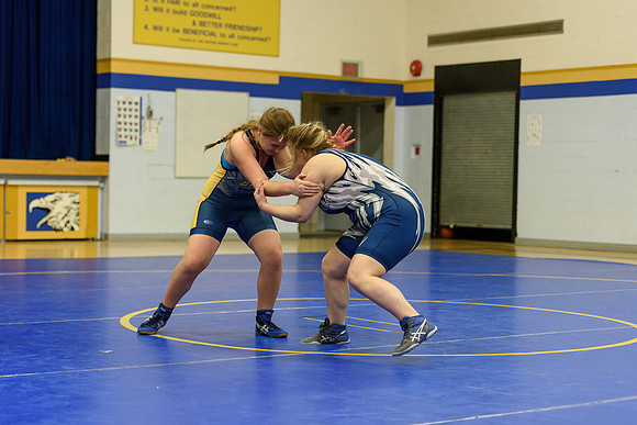 Wrestling DHS 011516-3-5828