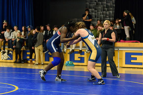 Wrestling DHS 011516-3-2501