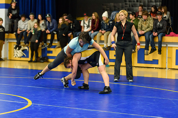 Wrestling DHS 011516-3-2388
