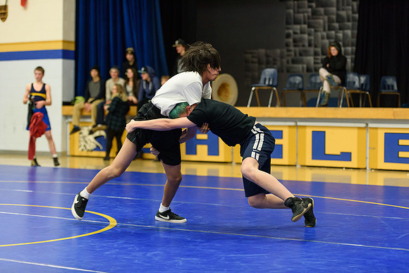 Wrestling DHS 011516-3-2859