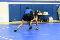Wrestling DHS 011516-3-2739