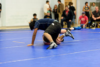 Wrestling DHS 011516-3-2544