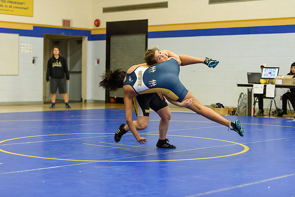 Wrestling DHS 011516-3-5740