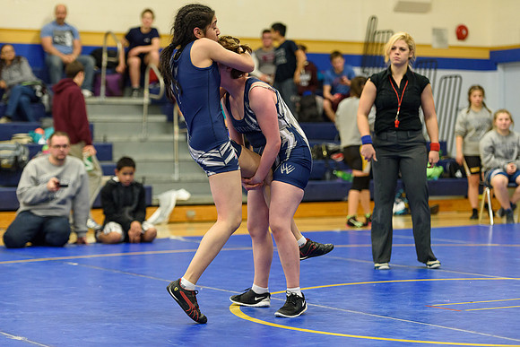 Wrestling DHS 011516-3-3298