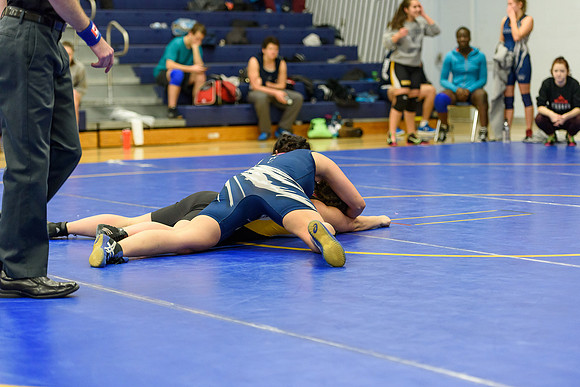 Wrestling DHS 011516-3-3433