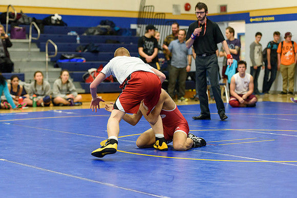 Wrestling DHS 011516-3-2610