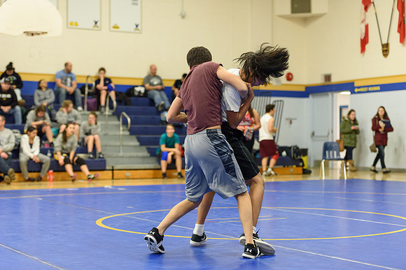 Wrestling DHS 011516-3-3622