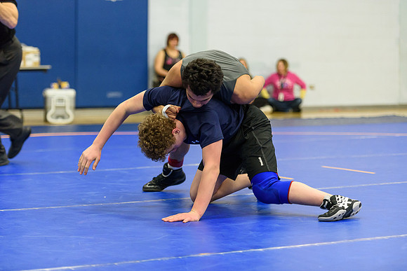 Wrestling DHS 011516-3-2276
