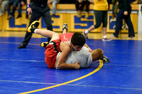 Wrestling DHS 011516-3-2601