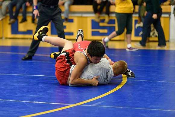 Wrestling DHS 011516-3-2601
