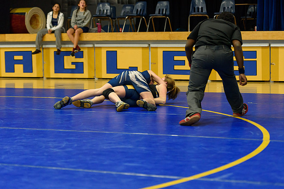 Wrestling DHS 011516-3-4958