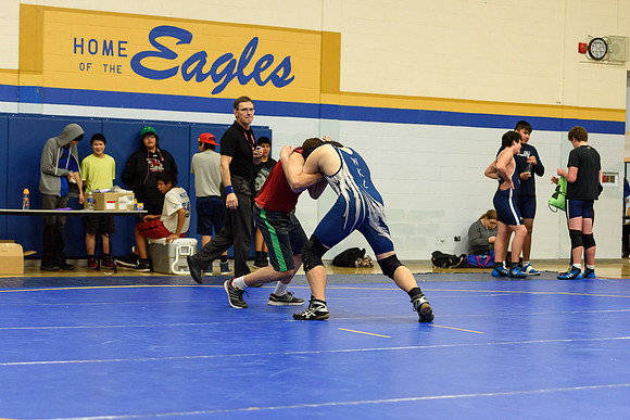 Wrestling DHS 011516-3-5469