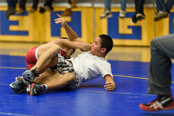Wrestling DHS 011516-3-3592