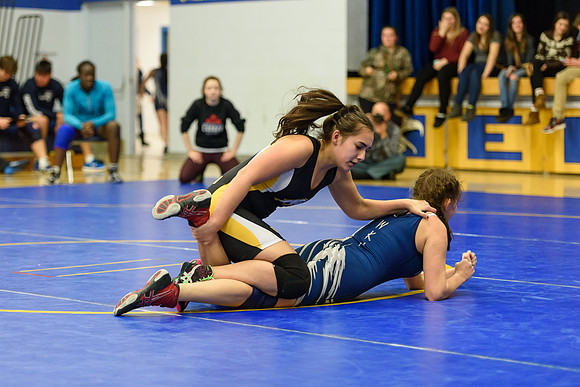 Wrestling DHS 011516-3-3354