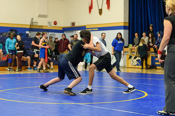 Wrestling DHS 011516-3-2853