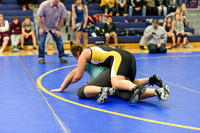 Wrestling DHS 011516-3-2370