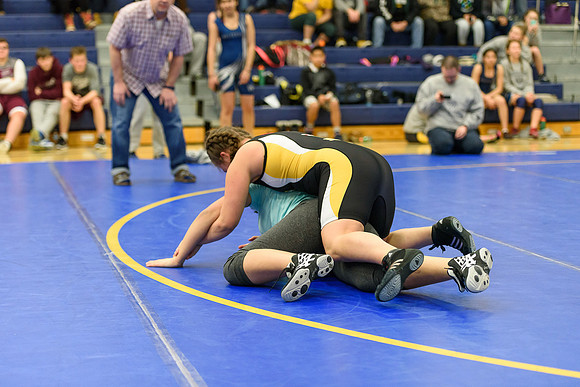 Wrestling DHS 011516-3-2370