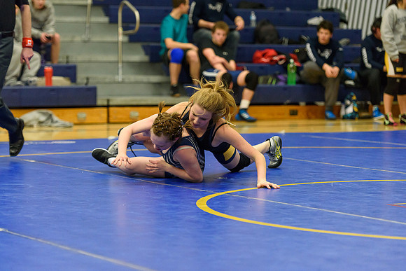 Wrestling DHS 011516-3-2200
