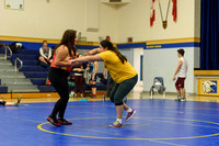 Wrestling DHS 011516-3-4415