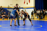 Wrestling DHS 011516-3-2283