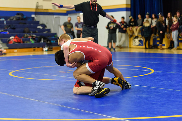 Wrestling DHS 011516-3-2673