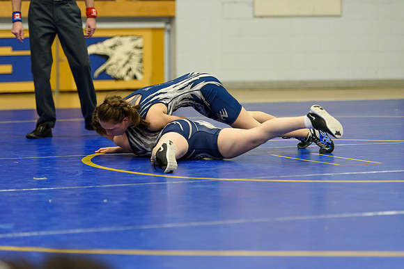 Wrestling DHS 011516-3-5696