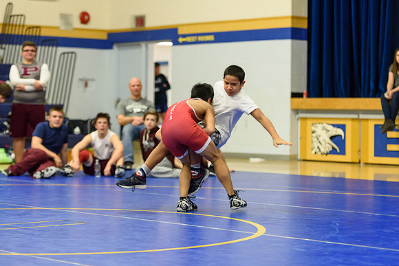 Wrestling DHS 011516-3-3575