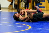Wrestling DHS 011516-3-2924
