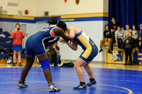Wrestling DHS 011516-3-2474
