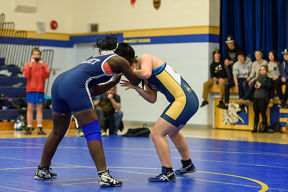 Wrestling DHS 011516-3-2474