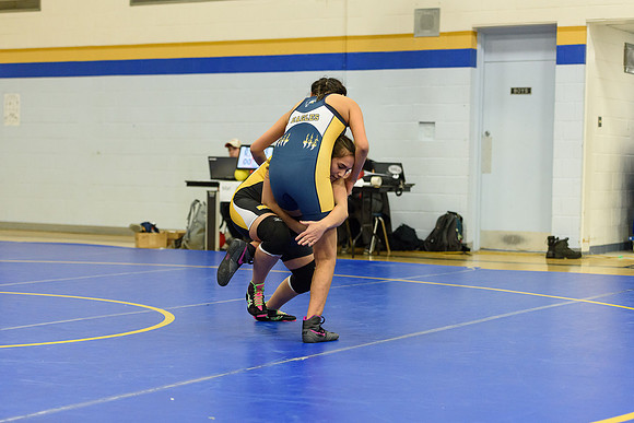 Wrestling DHS 011516-3-5726