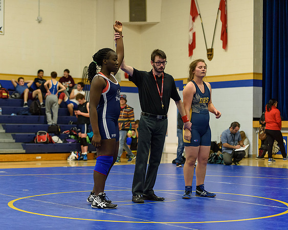 Wrestling DHS 011516-3-5215