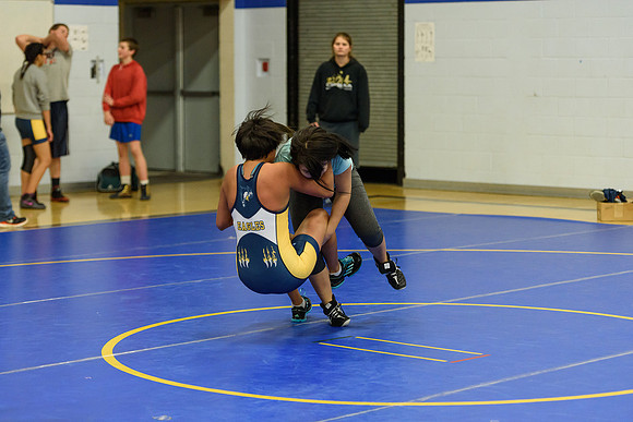 Wrestling DHS 011516-3-5108