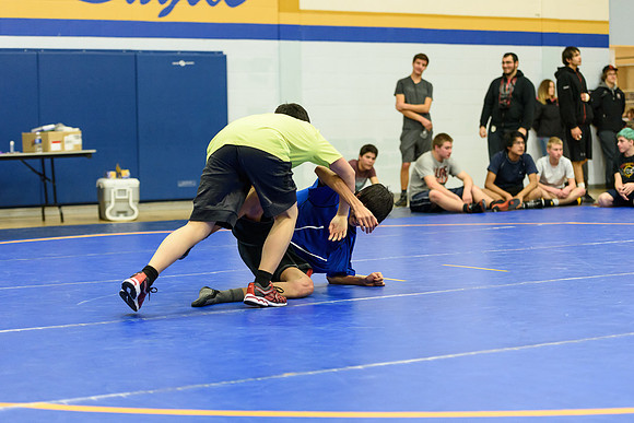 Wrestling DHS 011516-3-4080