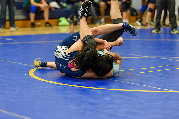 Wrestling DHS 011516-3-4344