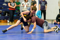 Wrestling DHS 011516-3-2797