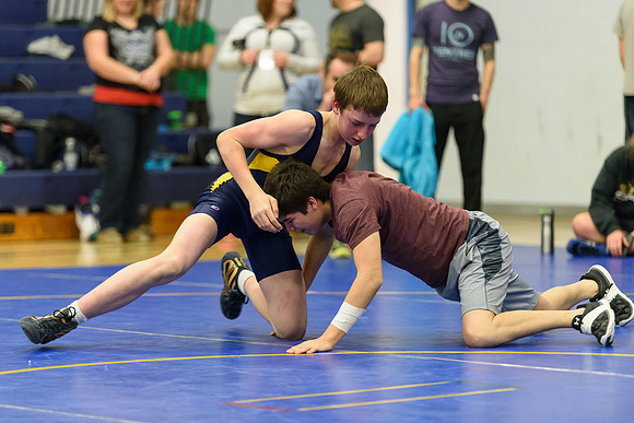 Wrestling DHS 011516-3-2797