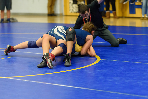 Wrestling DHS 011516-3-2258