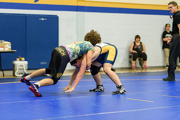 Wrestling DHS 011516-3-2119