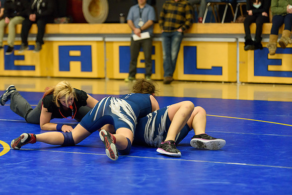 Wrestling DHS 011516-3-4282