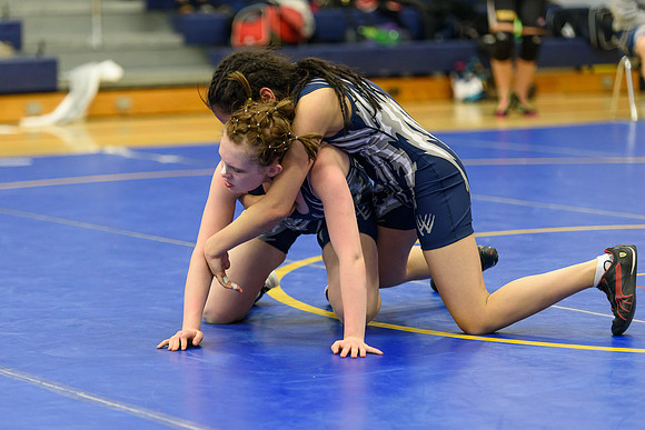 Wrestling DHS 011516-3-3187