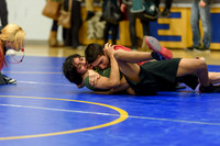 Wrestling DHS 011516-3-2923