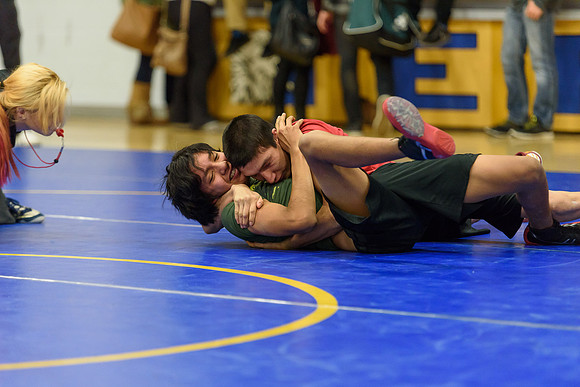 Wrestling DHS 011516-3-2923