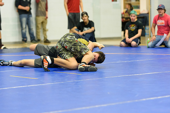 Wrestling DHS 011516-3-3411