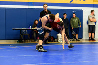 Wrestling DHS 011516-3-2995