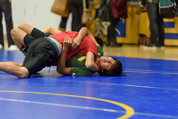 Wrestling DHS 011516-3-2917