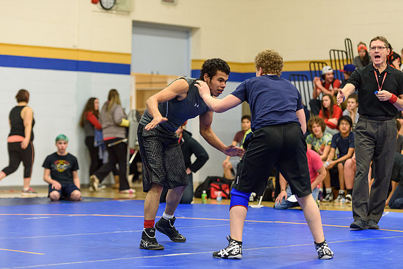 Wrestling DHS 011516-3-2422