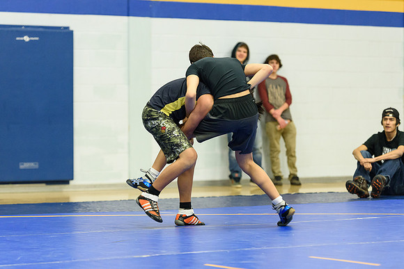 Wrestling DHS 011516-3-3398